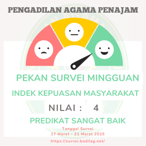 LAYER SURVEY WEB 17 mret